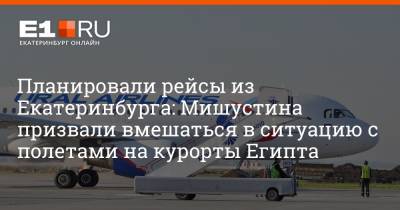 Планировали рейсы из Екатеринбурга: Мишустина призвали вмешаться в ситуацию с полетами на курорты Египта
