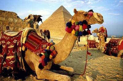 Названа средняя стоимость тура в Египет