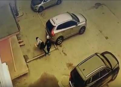 Девушка в Мурманске без причины напала на прохожую и ударила головой об асфальт