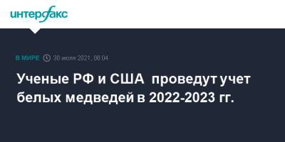 Ученые РФ и США проведут учет белых медведей в 2022-2023 гг.