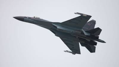 NI оценил способность Су-35 противостоять американскому F-35