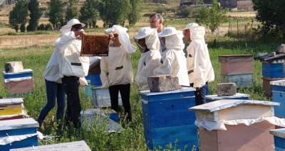 В Лори откроется первая в Армении школа по подготовке профессиональных пчеловодов