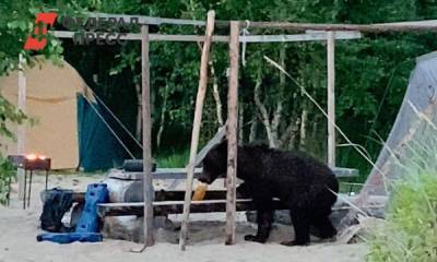 Медведь терроризирует отдыхающих на побережье Байкала
