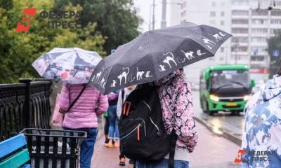 Уральцев ждут дождливые выходные