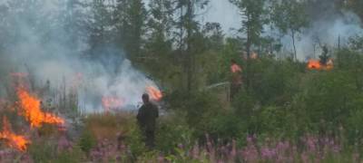 Ликвидатор пожара в поселке Карелии Найстенъярви рассказал всю правду о первых днях борьбы с огнем