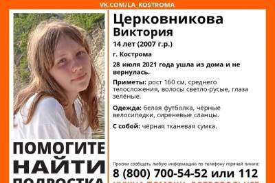 В Костромской области разыскивают пропавшую 14-летнюю русоволосую девушку