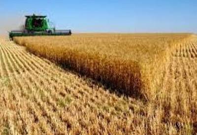 Зеленский одобрил повышение НДС для части сельхозпродукции