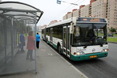 Новый автобусный маршрут из Юнтолово до метро «Беговая» запустят к 1 сентября