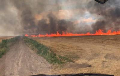 В Николаевской области горело поле пшеницы