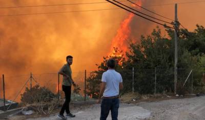 Украина предоставит Турции самолет для борьбы с лесными пожарами