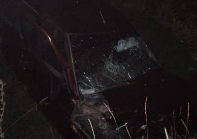 В Сараевском районе Lada Priora съехала в кювет, водитель погиб