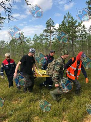 Спасатели Ленобласти на носилках вынесли из леса заблудившуюся пенсионерку
