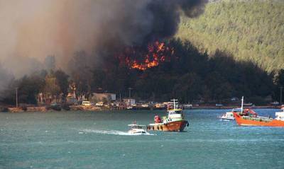 В Турции уже почти потушили лесные пожары