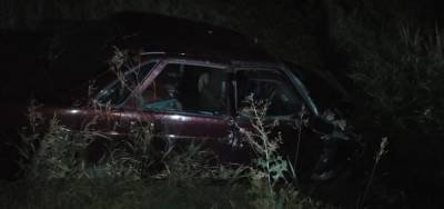В Сараевском районе «Лада» съехала в кювет, водитель погиб