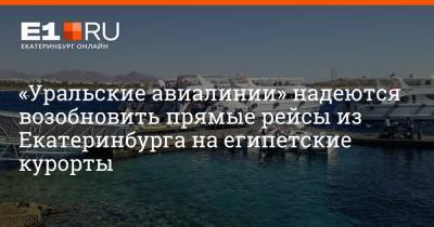 «Уральские авиалинии» надеются возобновить прямые рейсы из Екатеринбурга на египетские курорты