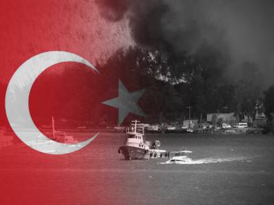 На півдні Туреччини тривають масштабні лісові пожежі: що наразі відомо