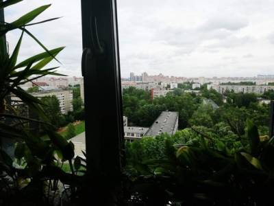 В Петербурге мальчик выжил после падения из окна