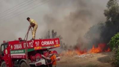 В Турции локализовали 42 очага возгорания в лесах