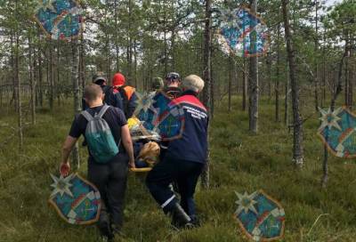 Пенсионерка заблудилась в лесу около деревни Извара