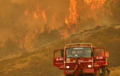 В Турции бушуют лесные пожары: погибли три человека (ФОТО)