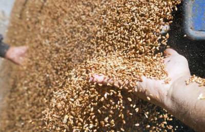 Названы продукты переработки зерна, выпуск которых сократился в 2020/21 МГ - agroportal.ua - Украина
