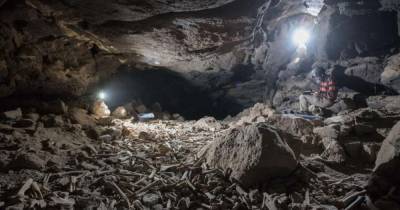 Пещера костей: в Саудовской Аравии нашли тайник, куда гиены столетиями стаскивали добычу