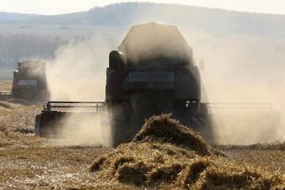 На НТБ сообщили, что продажи зерна из госфонда в пятницу составили 6,21 тысячи тонн