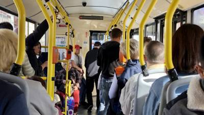 Новый автобусный маршрут появится в Приморском районе Петербурга