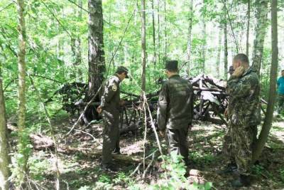 В лесу на территории Марий Эл обнаружен упавший самолет времен войны