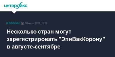 Ринат Максютов - Несколько стран могут зарегистрировать "ЭпиВакКорону" в августе-сентябре - interfax.ru - Москва - Россия