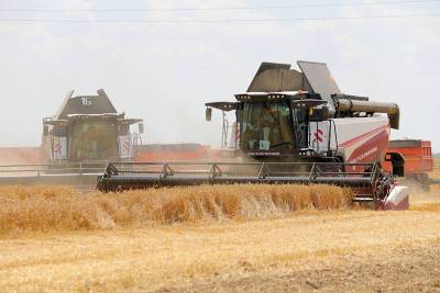 Урожай ранних зерновых на Дону превысил 10 млн тонн, уборка продолжается
