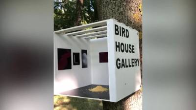 На Каменном острове появилась картинная галерея для птиц