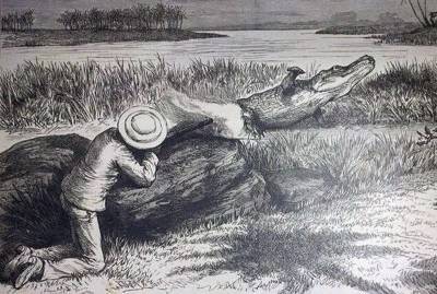 Инструкция XIX века по поимке крокодила на темнокожего ребёнка » Тут гонева НЕТ!