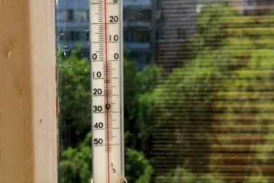 В Тамбовской области снова ожидается аномальная жара