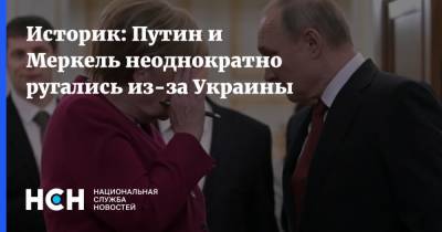 Историк: Путин и Меркель неоднократно ругались из-за Украины