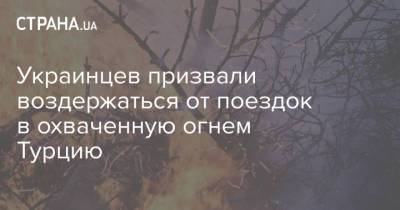 Украинцев призвали воздержаться от поездок в охваченную огнем Турцию