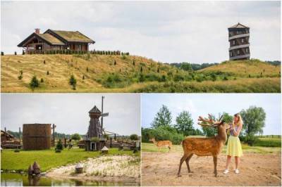 Барановичский «Парк животных» снова в строю: когда открытие и сколько будут стоить билеты