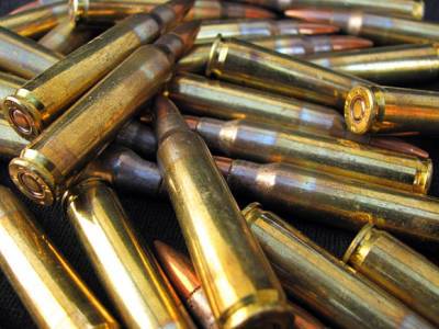 У жителя Подмосковья в гараже нашли два пистолета и более 200 патронов