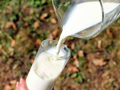 Ученые перечислили продукты, заменяющие по норме кальция стакан молока