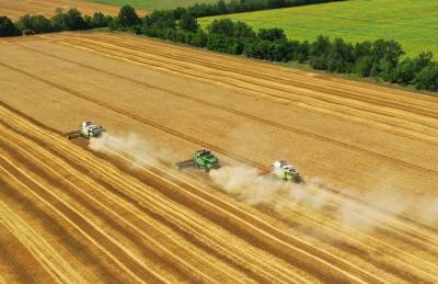 В Украине намолотили более 24 млн т зерна