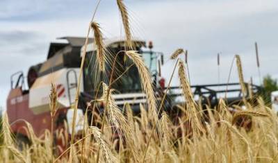 В Удмуртии дефицит зерна — производителей призывают прекратить его вывоз из региона