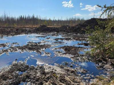 В Росприроднадзоре подсчитали ущерб реке от нефтеразлива в Коми