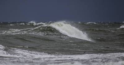 На побережье Калининградской области порывы ветра в субботу достигнут 23 м/с, а волны — 3 метров