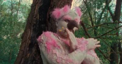 Розовый фламинго уже не тот. Алена Свиридова и группа Cream Soda сняли новый клип на хит 90-ых