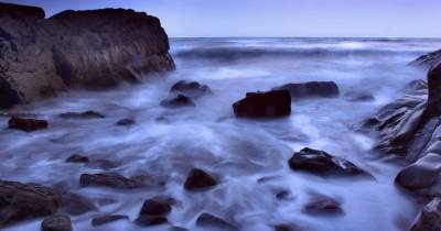 Ученые обнаружили жуткую биолюминесценцию, создающую "молочное море"