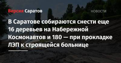 В Саратове собираются снести еще 16 деревьев на Набережной Космонавтов и 180 — при прокладке ЛЭП к строящейся больнице