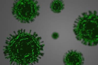 За три месяца в Белгородской области обнаружили 35 случаев мутировавших штаммов коронавируса