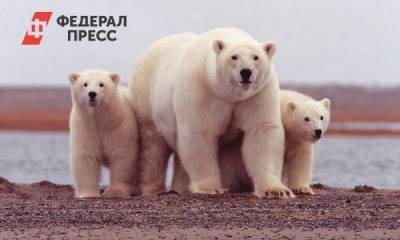 «Роснефть» и «Русская Арктика» начали новую экспедицию
