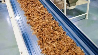 Россельхознадзор отменил запрет на импорт табачного сырья из ЮАР