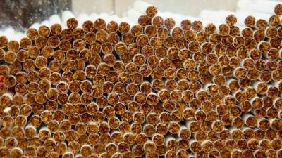 Россельхознадзор возобновит поставки табачного сырья в Россию из ЮАР